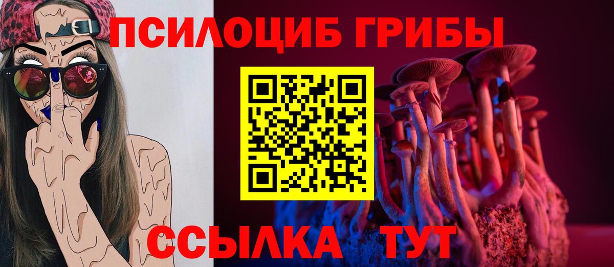 Псилоцибиновые грибы мицелий Орехово-Зуево