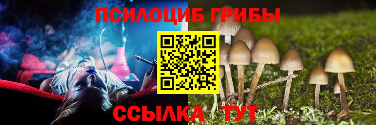 Орехово-Зуево  купить закладку  Вход с VPN  Псилоцибиновые грибы ЛСД 